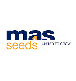 Mad Seeds