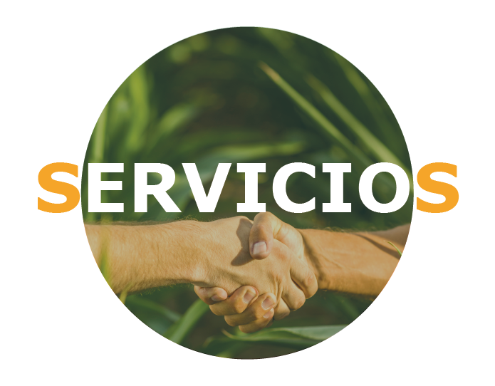 Servicios