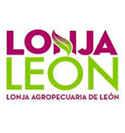 Lonja de León